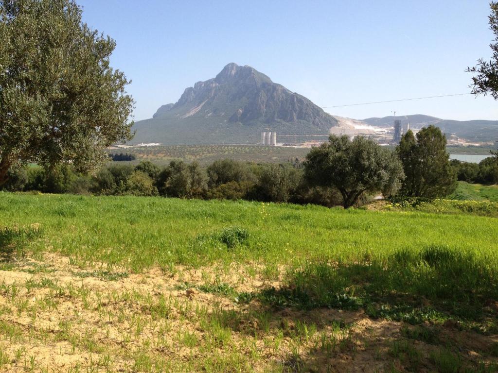Dar Salima Bed & Breakfast Mornag Dış mekan fotoğraf