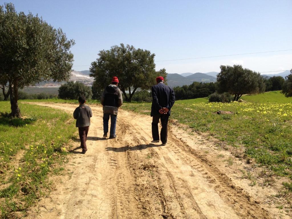 Dar Salima Bed & Breakfast Mornag Dış mekan fotoğraf