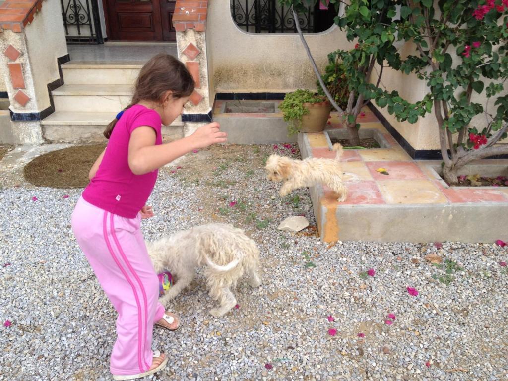 Dar Salima Bed & Breakfast Mornag Dış mekan fotoğraf