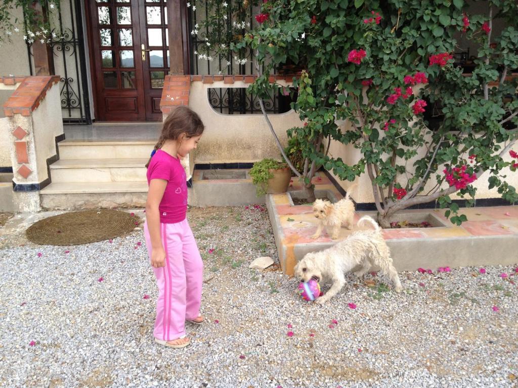 Dar Salima Bed & Breakfast Mornag Dış mekan fotoğraf