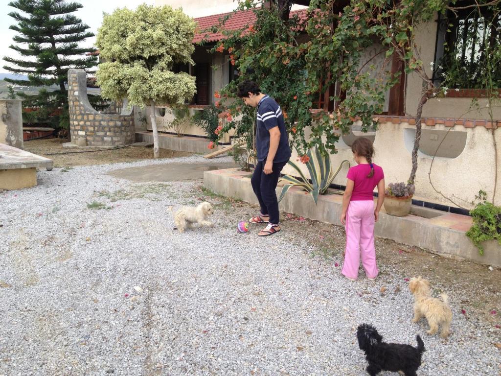 Dar Salima Bed & Breakfast Mornag Dış mekan fotoğraf