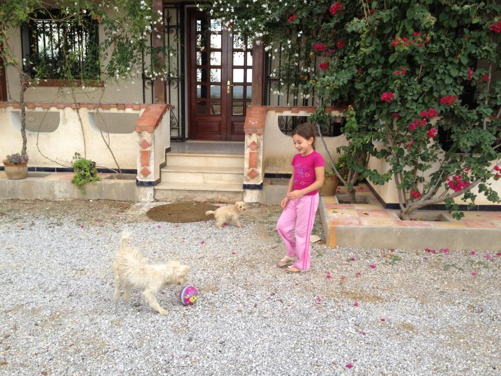 Dar Salima Bed & Breakfast Mornag Dış mekan fotoğraf